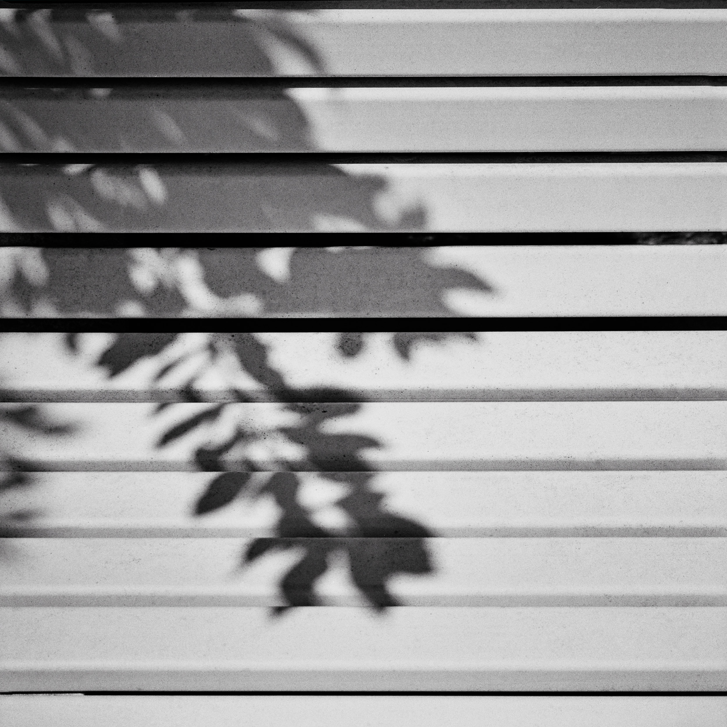 Emmanuel-Pineau-A-simple-life-22