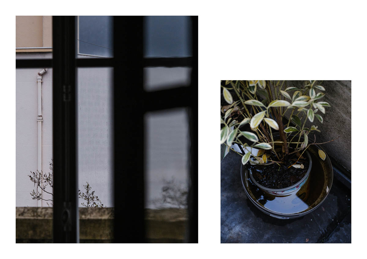 Diptych with the view from the living room window and a plant on the balcony, from the series I will be around by Emmanuel Pineau