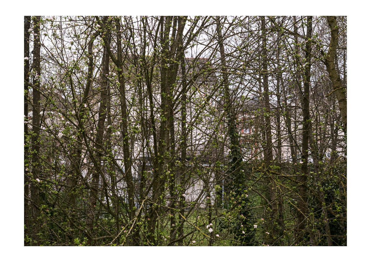 The houses of my childhood neighborhood seen through the trees planted along the Moine river. From the series I will be around by Emmanuel Pineau