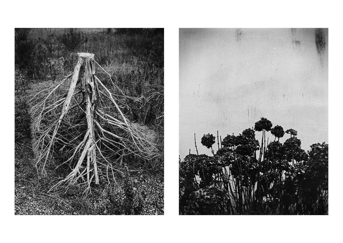 Diptych featuring two large-format black and white photographs of nature in winter, from the series I will be around by Emmanuel Pineau