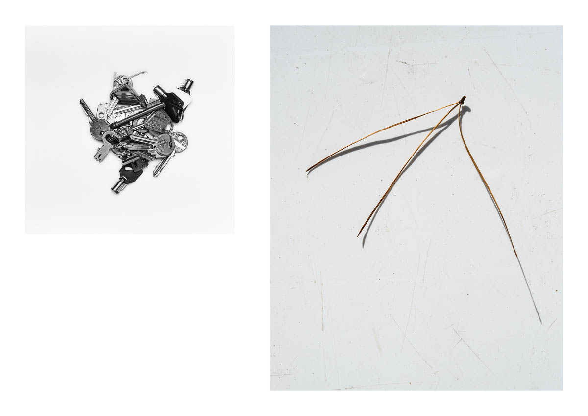 Diptych presenting two still lifes on a white background. A pile of old keys and a pine needle. From the series I will be around by Emmanuel Pineau