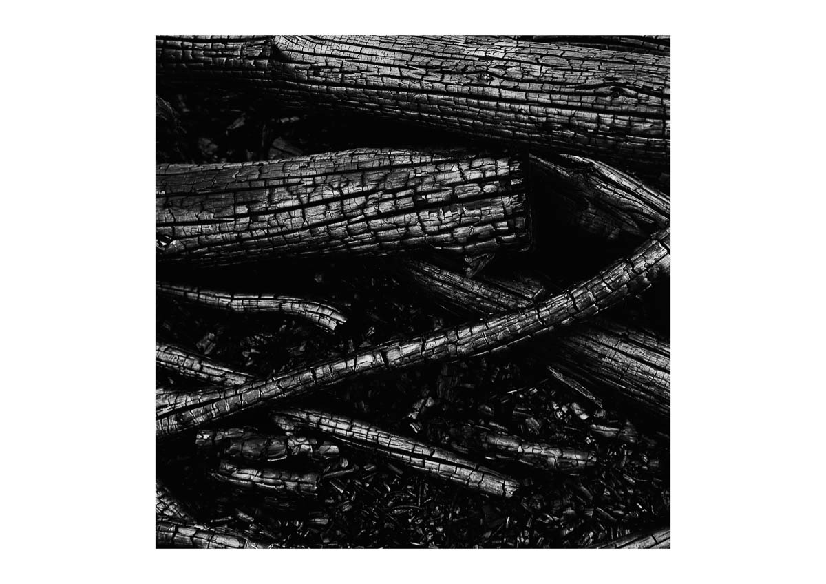 A pile of branches charred by fire, from the series I will be around by Emmanuel Pineau
