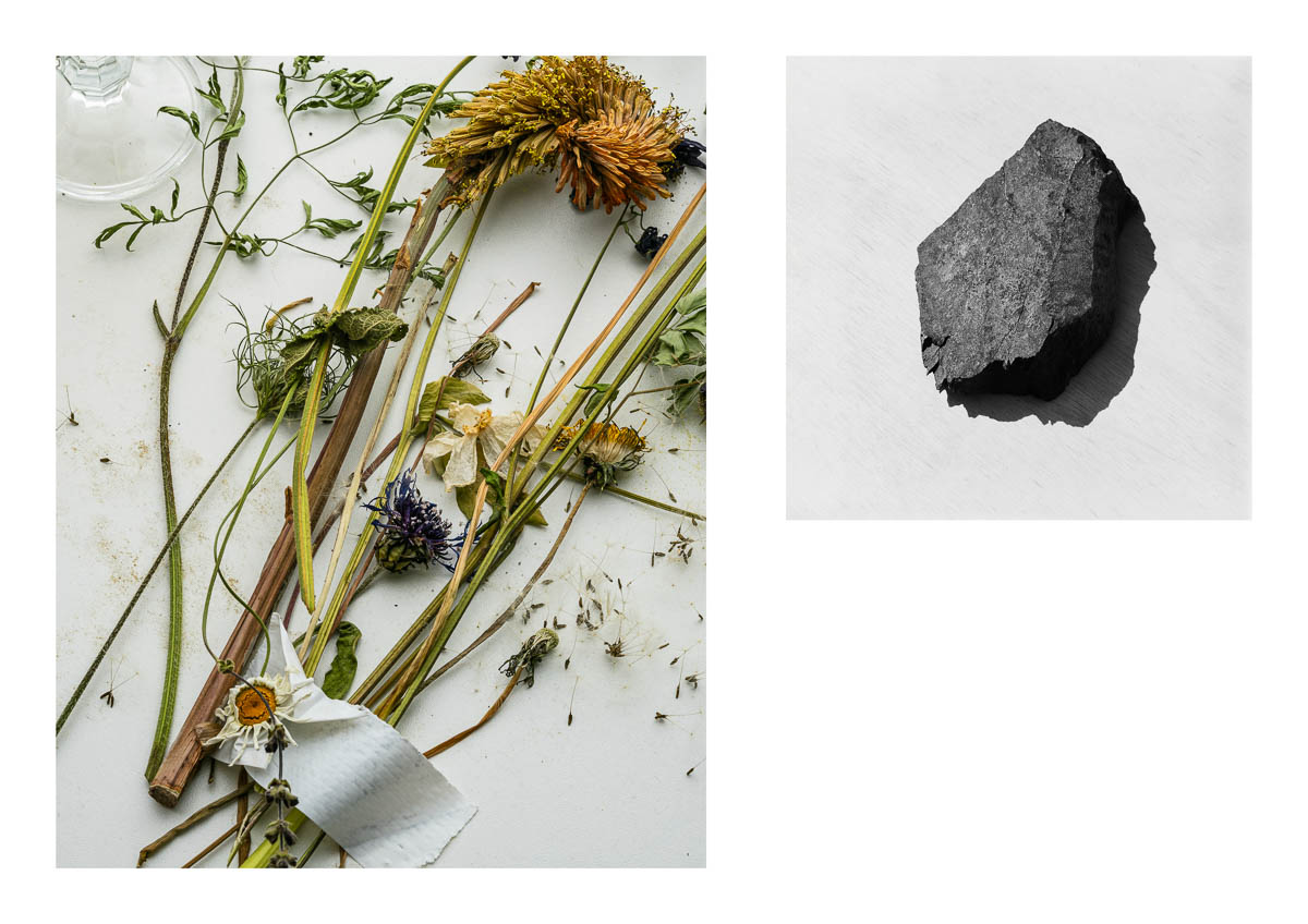 Diptych presenting two still lifes on a white background. Wilted wildflowers and a piece of granite., from the series I will be around by Emmanuel Pineau