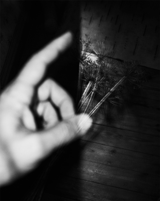 Out of disorders by Emmanuel Pineau