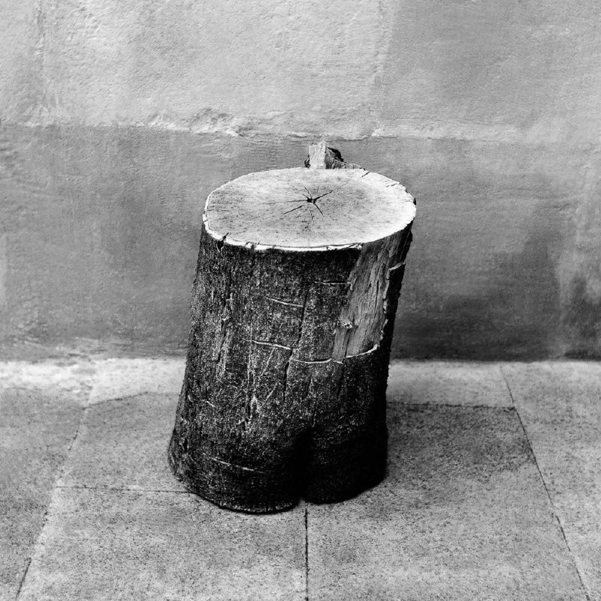 A large log placed on the ground in front of a stone wall, from the series Les limites du territoire by Emmanuel Pineau