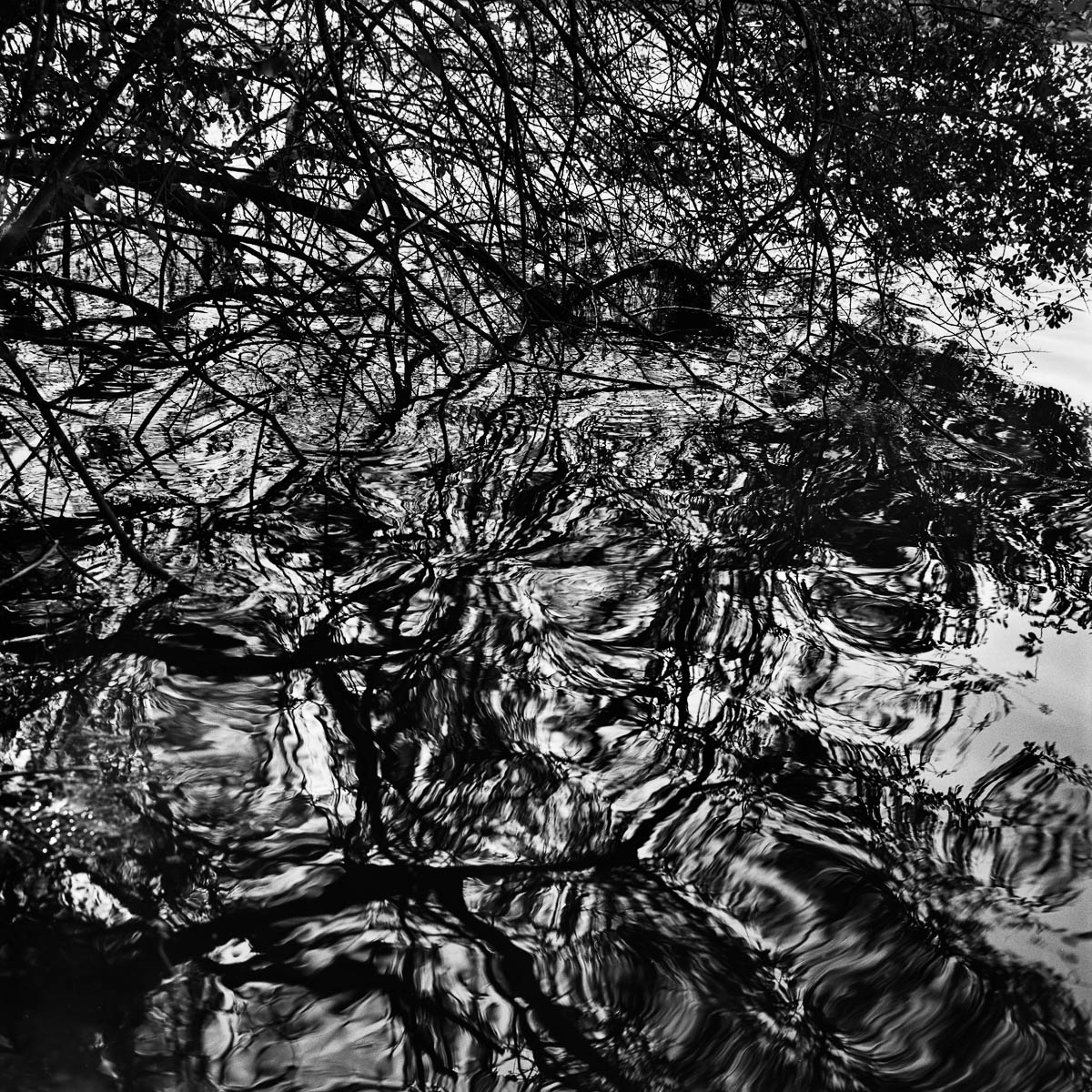 The reflection of branches on the surface of a lake in winter, from the series Les limites du territoire by Emmanuel Pineau