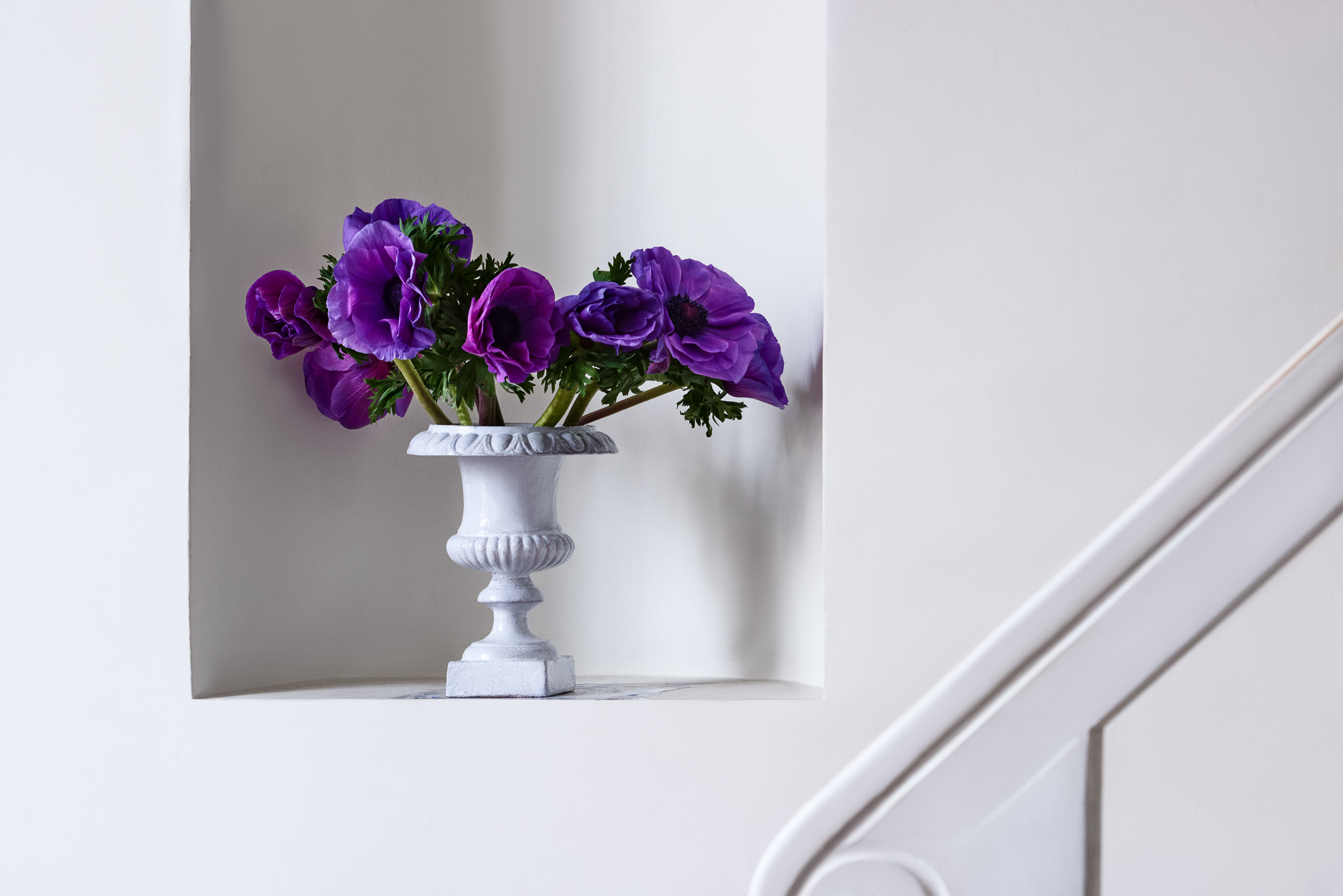 Bouquet of purple flowers in a white ceramic vase by Astier de Villatte, still life photography by Emmanuel Pineau