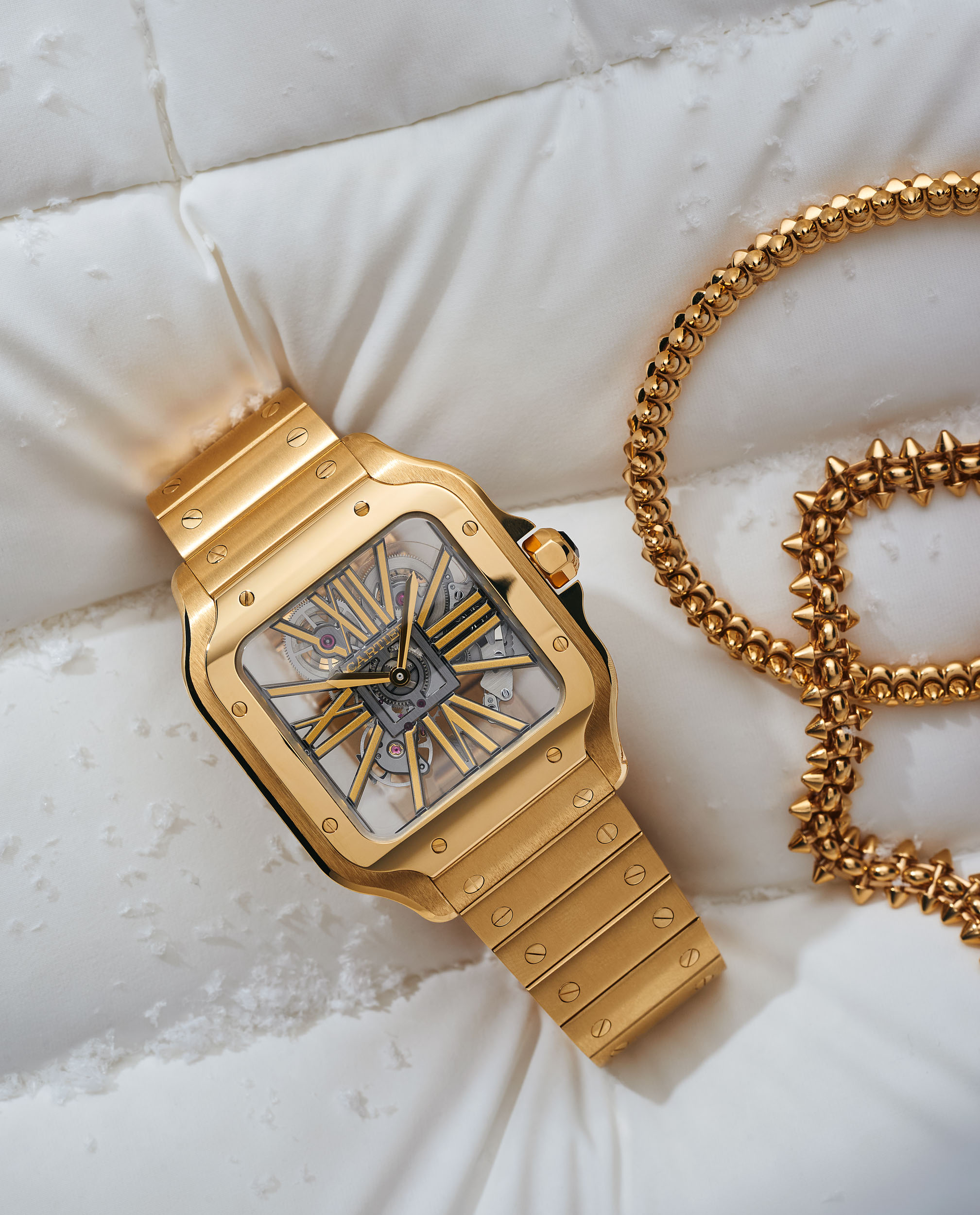 Cartier luxury watches by Emmanuel Pineau