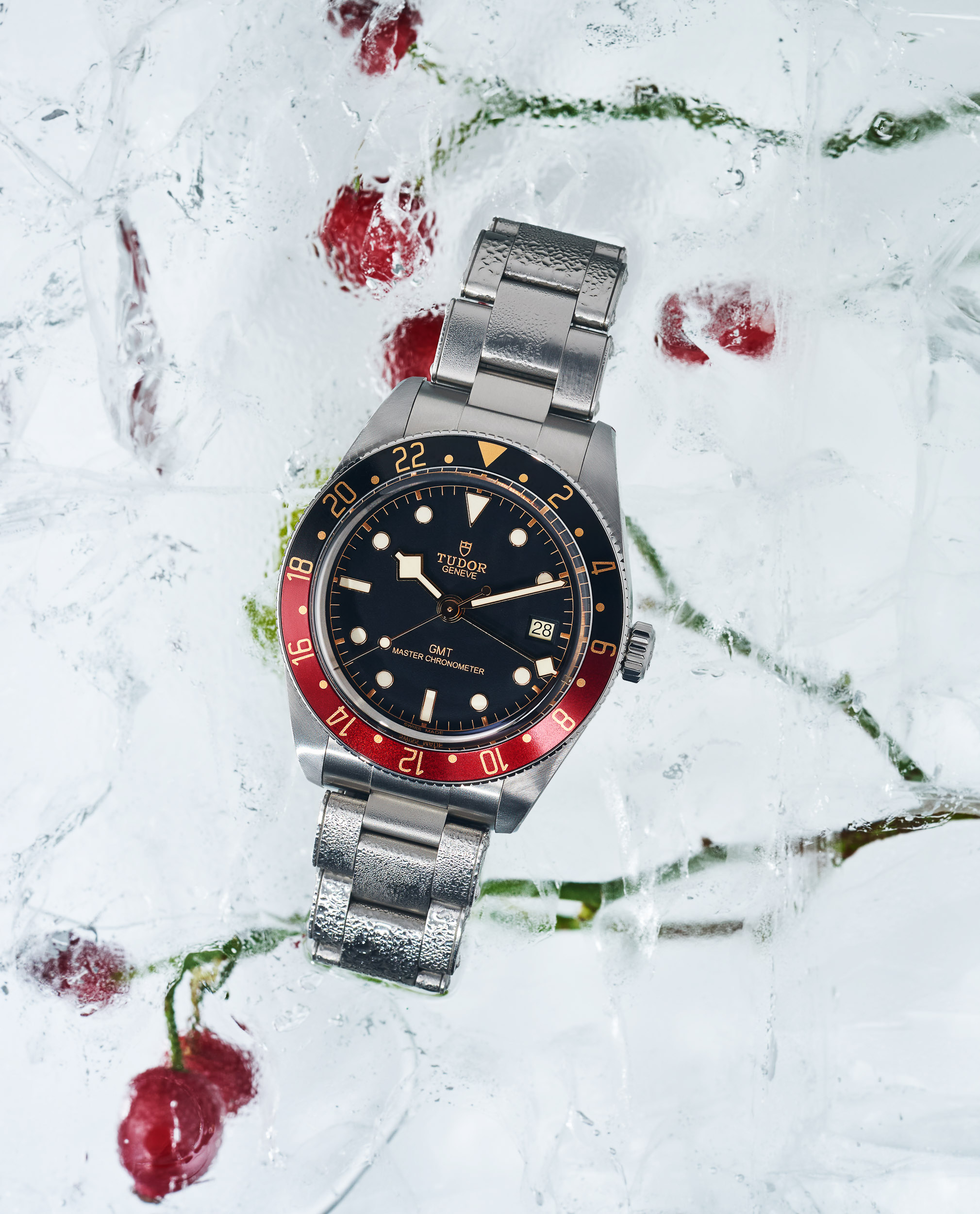 Tudor luxury watches by Emmanuel Pineau