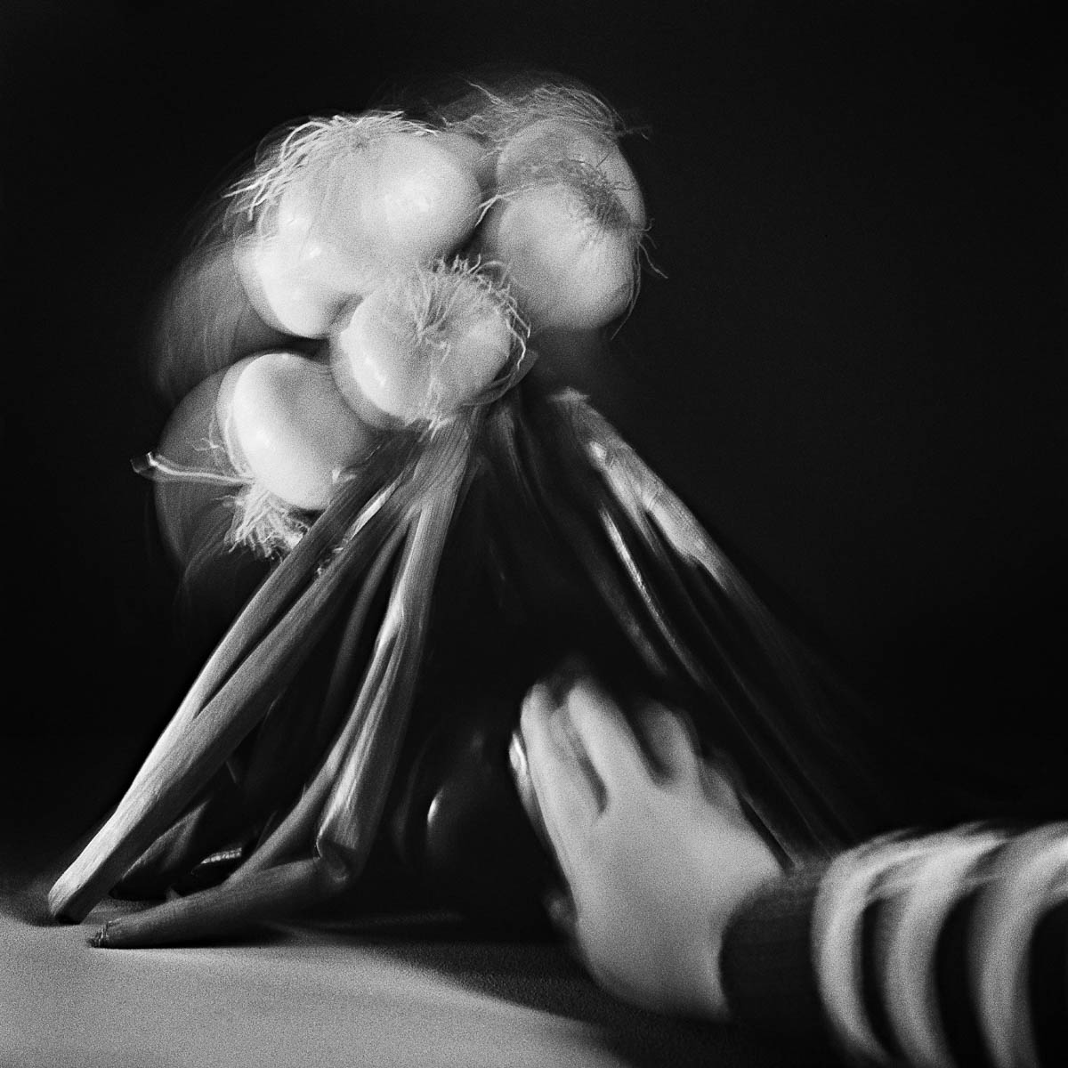 Composition with a bunch of onions and a child's hand entering the frame, from the series One piece of my mind by Emmanuel Pineau