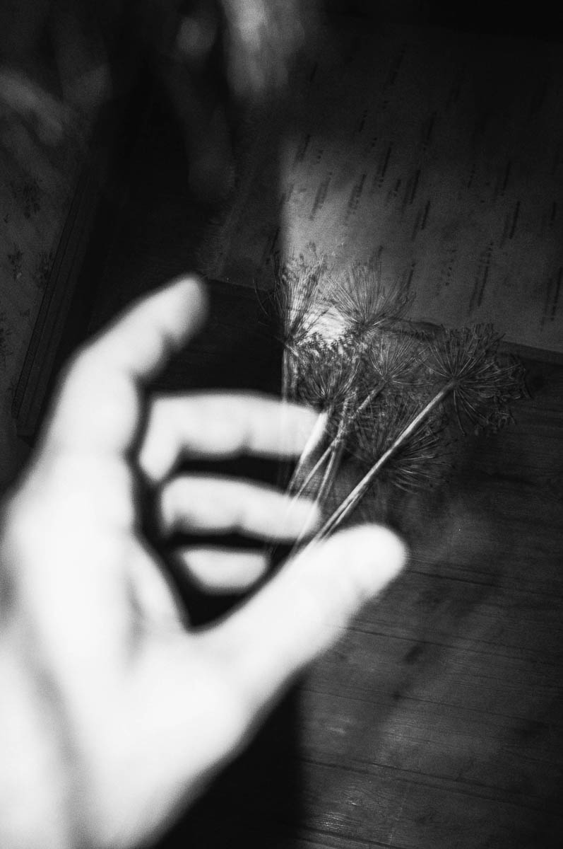 A slightly blurry hand tries to grasp flowers, from the series Out of disorders by Emmanuel Pineau