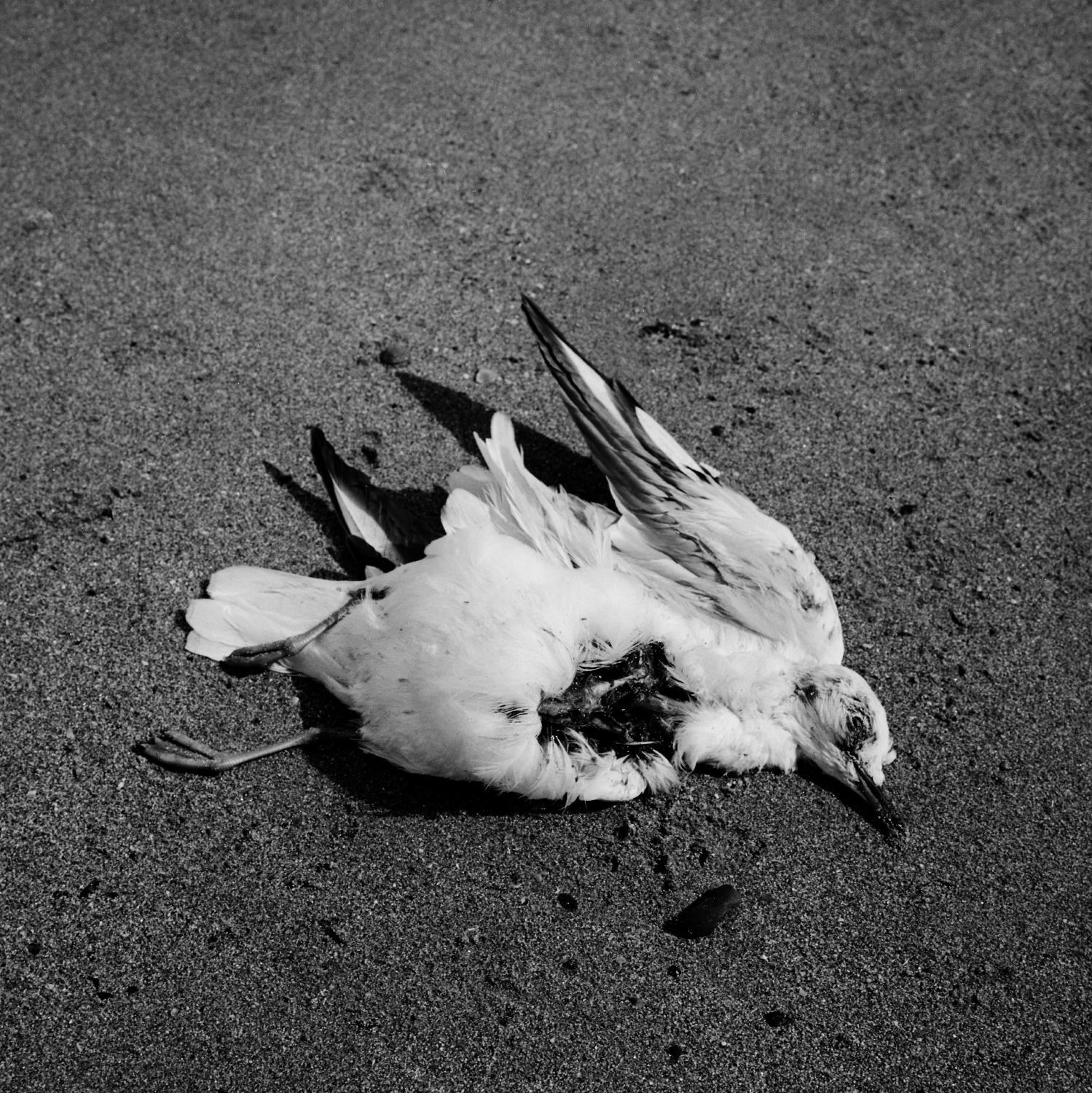 Emmanuel-Pineau-black-and-white-photography-08 Les limites du territoire by Emmanuel Pineau