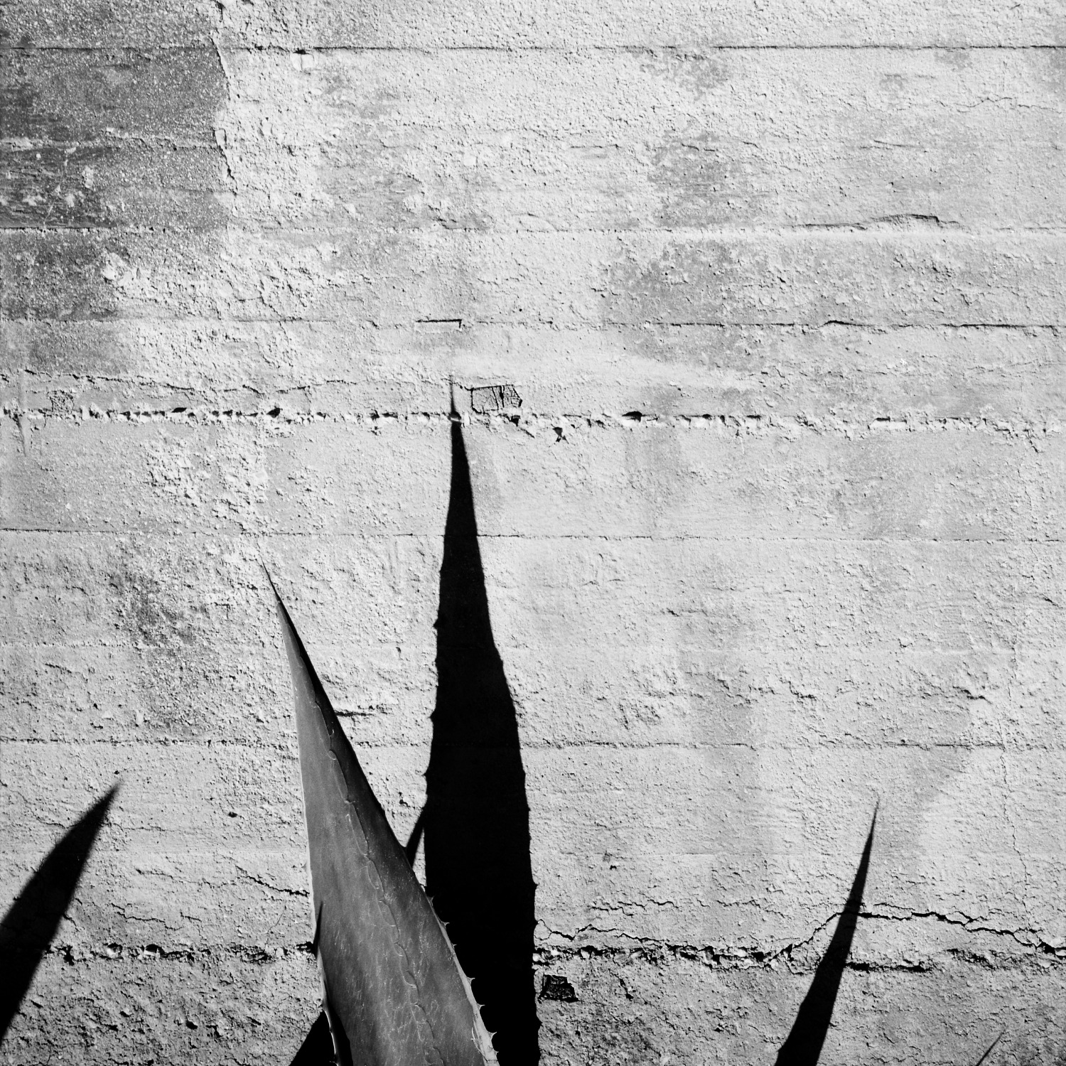 Emmanuel-Pineau-black-and-white-photography-22 Les limites du territoire by Emmanuel Pineau