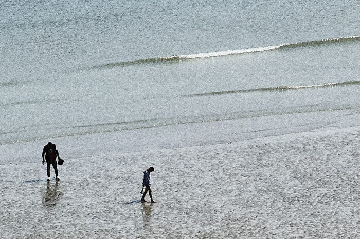 another summer by emmanuel pineau