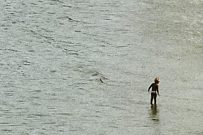 another summer by emmanuel pineau