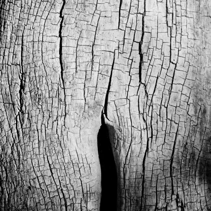 One piece of my mind by Emmanuel Pineau