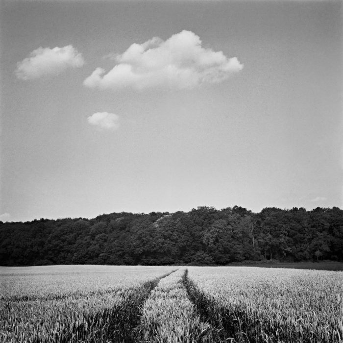 kodak xtol