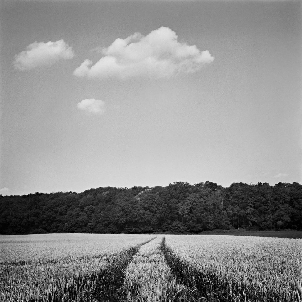 5 good reasons to use Kodak Xtol Emmanuel Pineau