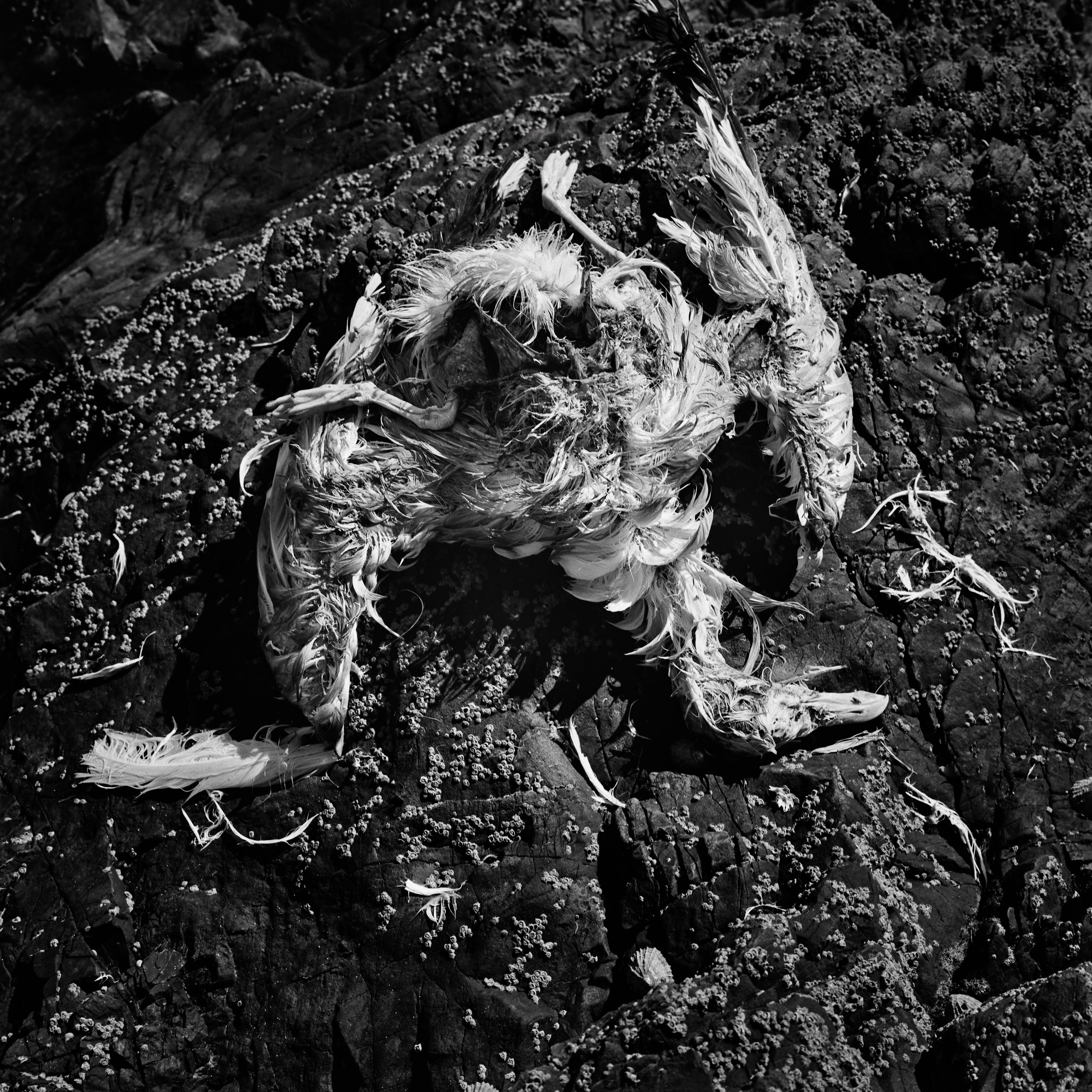 Emmanuel_Pineau_Etables-08-2007-011 A simple life by Emmanuel Pineau