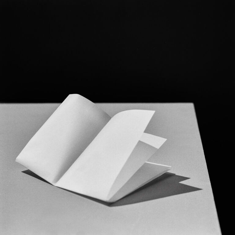 A simple life by Emmanuel Pineau