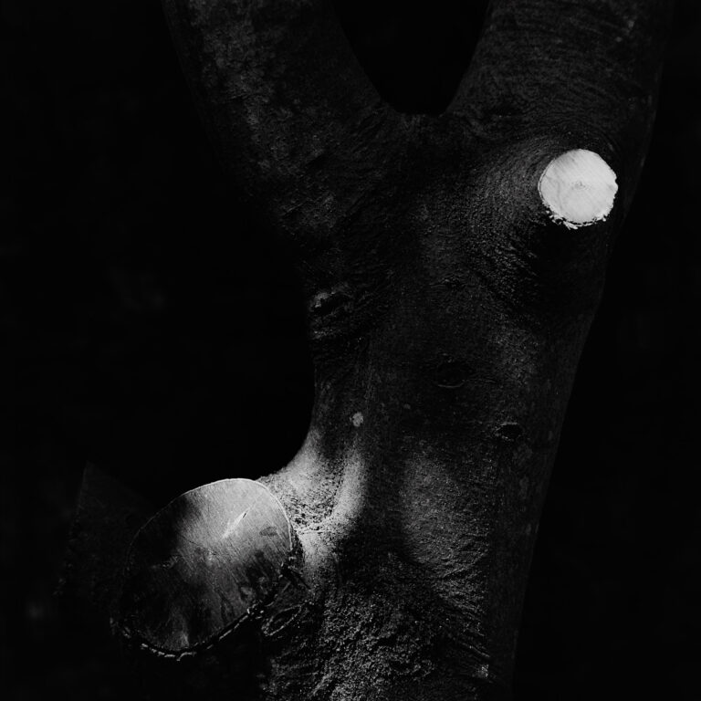 A simple life by Emmanuel Pineau