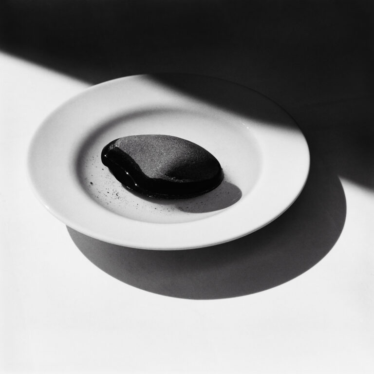 A simple life by Emmanuel Pineau