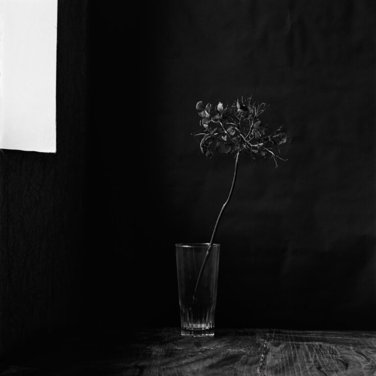 A simple life by Emmanuel Pineau