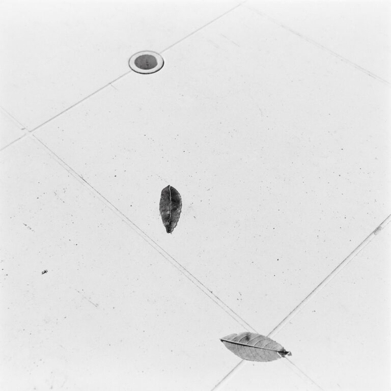 A simple life by Emmanuel Pineau