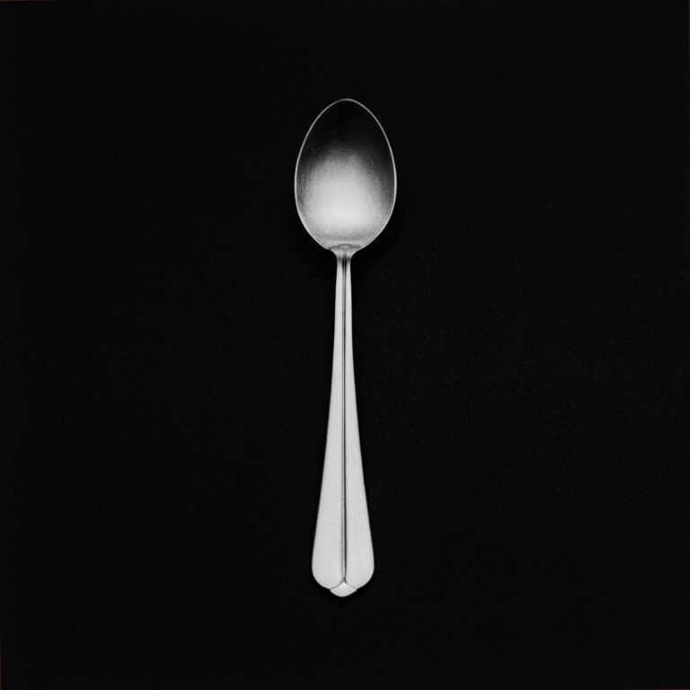 A simple life by Emmanuel Pineau